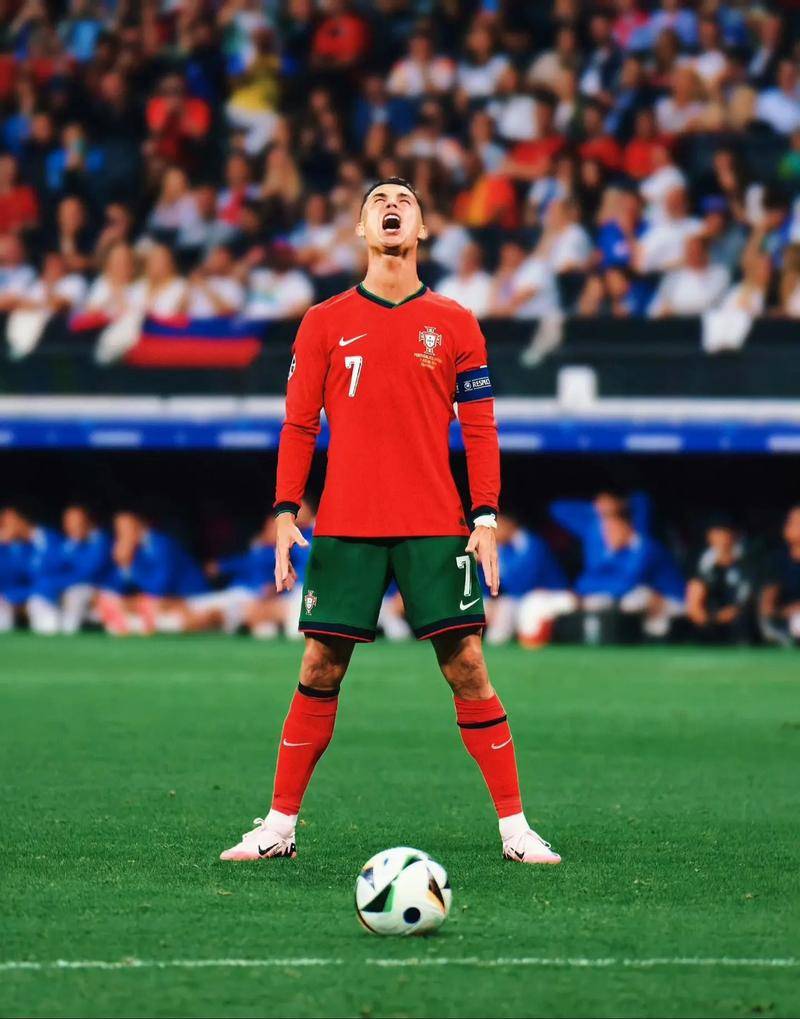 顽强的意志 顽强的意志